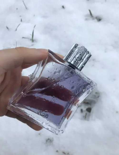 Can Cologne Freeze: We Investigate How Cold It Could Get
